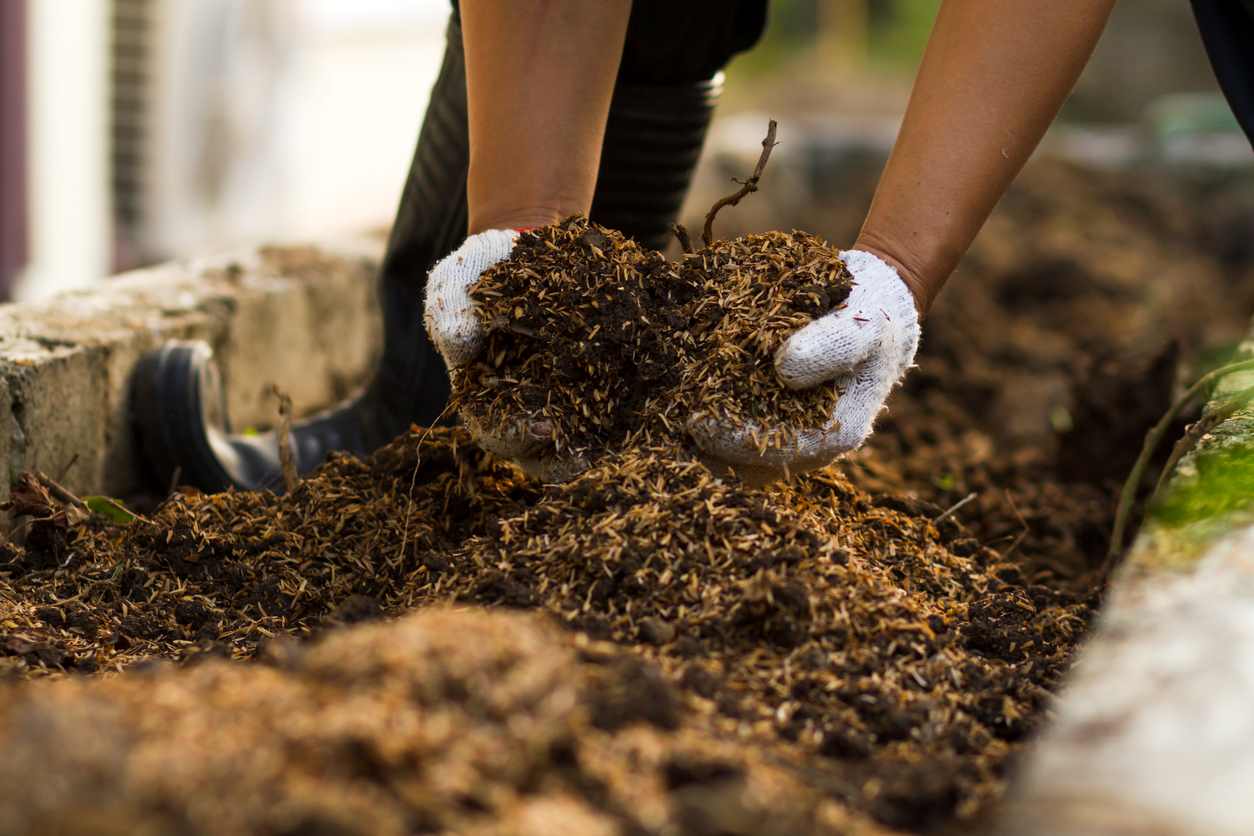 Comment Fabriquer Un Compost Bio Pour Vos Plantations